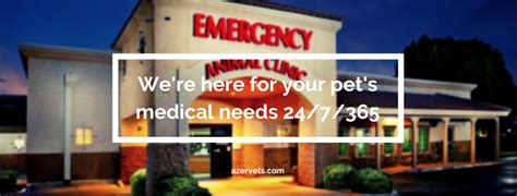 gq vet|emergency vet in gilbert az.